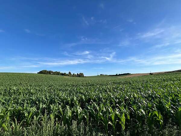17ha Ackerland / Grünland in 61130 Nidderau - Bild 4