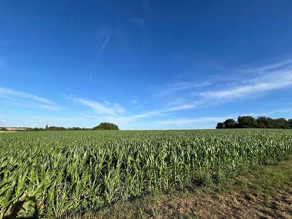 17ha Ackerland / Grünland in 61130 Nidderau - Bild 5