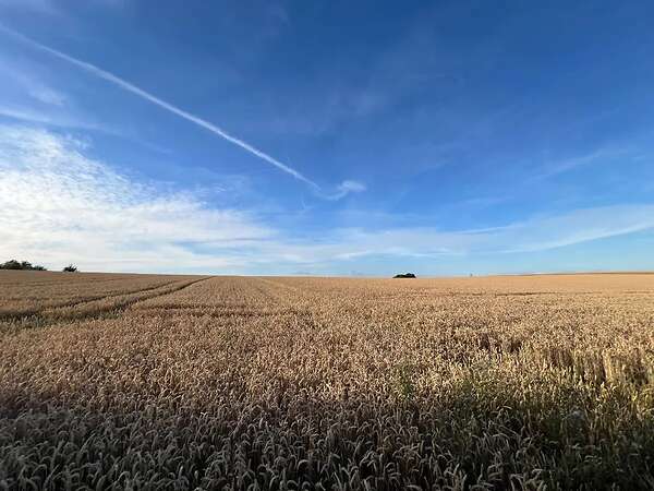 17ha Ackerland / Grünland in 61130 Nidderau - Bild 6
