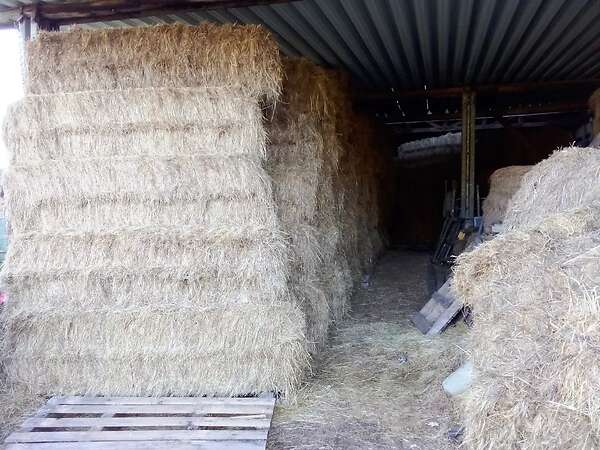 Heu in HD, Rund und Quaderballen von Bergwiesen, Giftpflanzenfrei, RLP, Saarland - Bild 1