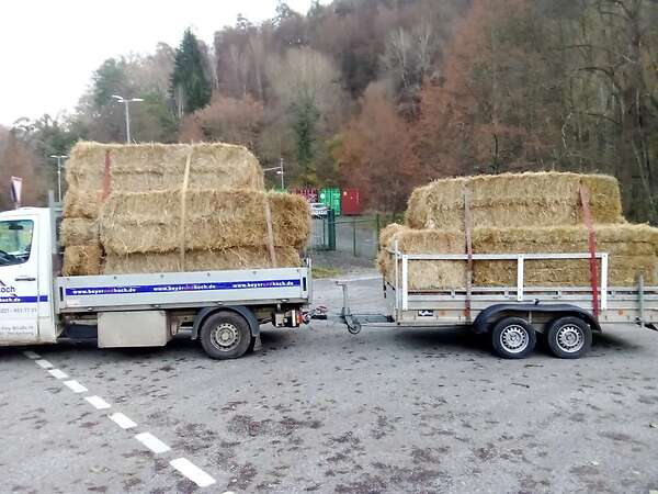 Heu in HD, Rund und Quaderballen von Bergwiesen, Giftpflanzenfrei, RLP, Saarland - Bild 4