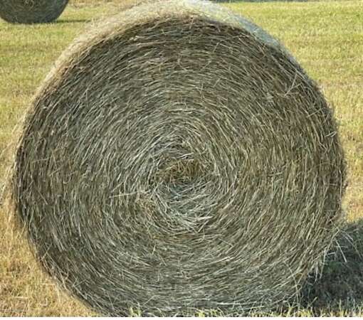 Hochwertige Heurundballen aus dem 1. Schnitt 2026 - Bild 1
