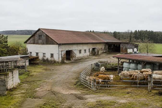 Stall oder landwirtschaftliche Hofstelle gesucht