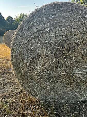 Heu Rundballen - Bild 1