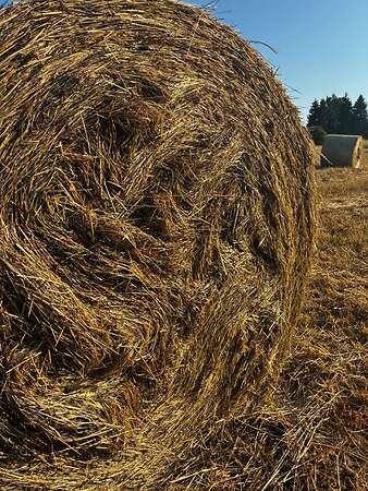 Heu Rundballen - Bild 2
