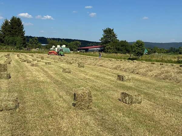 HD-Heuballen - Bild 1