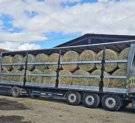 Transporteure gesucht