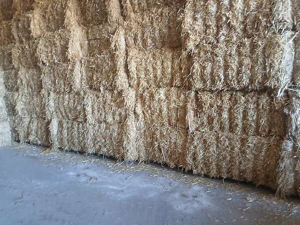 Qauderballen stroh Gerste,Triticale,Hafer und Weizenstroh - Bild 2