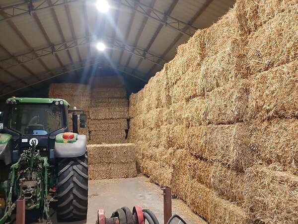 Qauderballen stroh Gerste,Triticale,Hafer und Weizenstroh - Bild 3