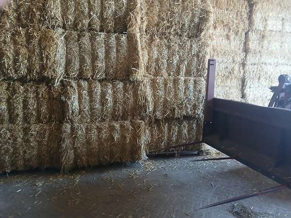 Qauderballen stroh Gerste,Triticale,Hafer und Weizenstroh - Bild 4