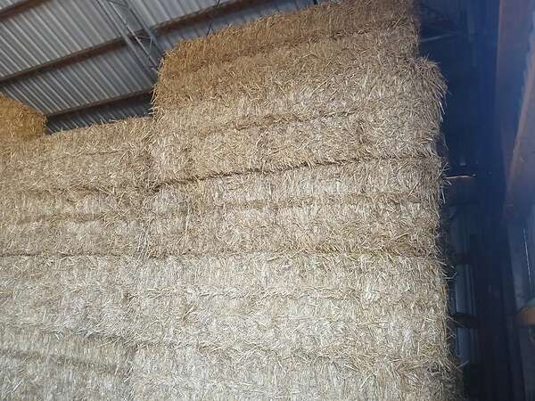 Qauderballen stroh Gerste,Triticale,Hafer und Weizenstroh - Bild 6