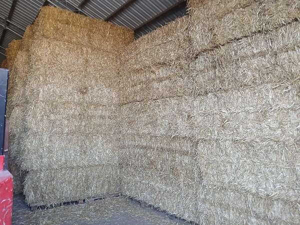 Qauderballen stroh Gerste,Triticale,Hafer und Weizenstroh - Bild 7