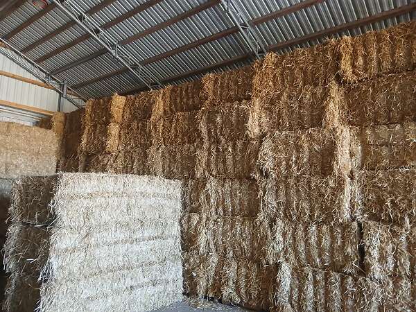 Qauderballen stroh Gerste,Triticale,Hafer und Weizenstroh - Bild 9