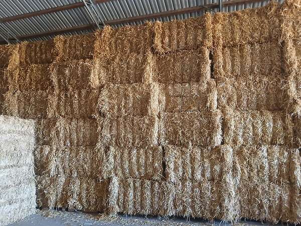 Qauderballen stroh Gerste,Triticale,Hafer und Weizenstroh - Bild 10