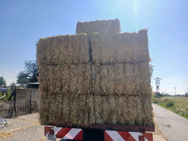 Qauderballen stroh Gerste,Triticale,Hafer und Weizenstroh - Bild 11