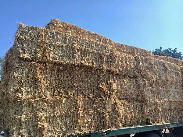 Qauderballen stroh Gerste,Triticale,Hafer und Weizenstroh - Bild 12