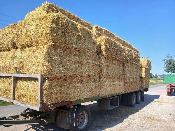 Qauderballen stroh Gerste,Triticale,Hafer und Weizenstroh - Bild 13