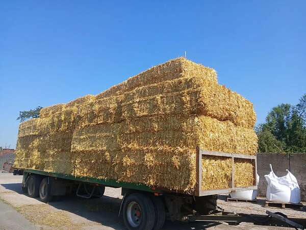 Qauderballen stroh Gerste,Triticale,Hafer und Weizenstroh - Bild 14