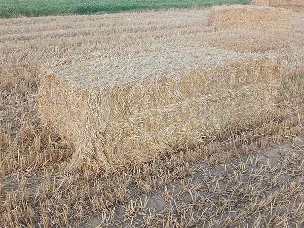 Qauderballen stroh Gerste,Triticale,Hafer und Weizenstroh - Bild 16