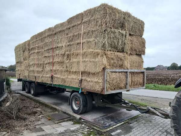 Ballwagen tieflader 24t sehr stabiel gebaut