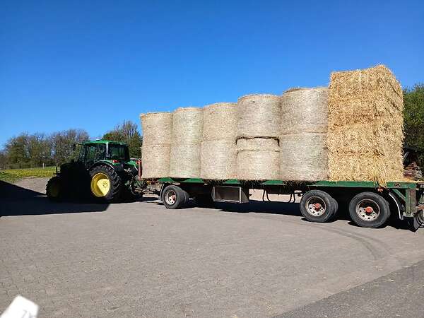 Ballwagen tieflader 24t sehr stabiel gebaut - Bild 5