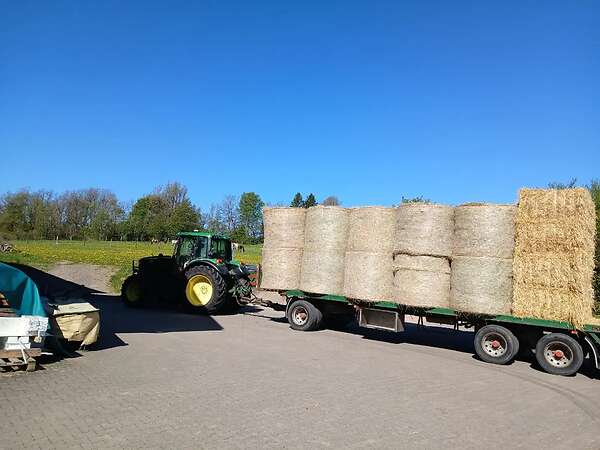 Ballwagen tieflader 24t sehr stabiel gebaut - Bild 6
