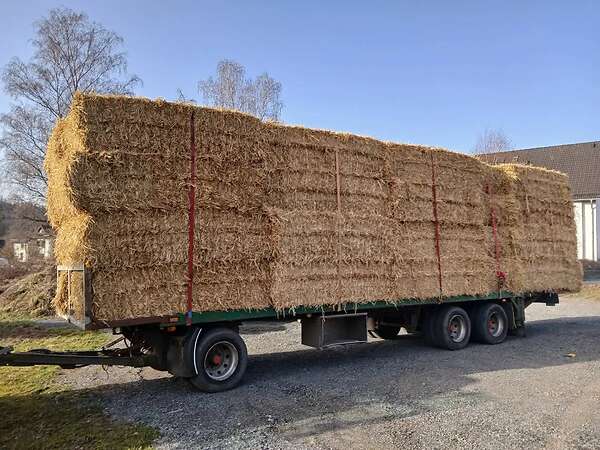 Ballwagen tieflader 24t sehr stabiel gebaut - Bild 8