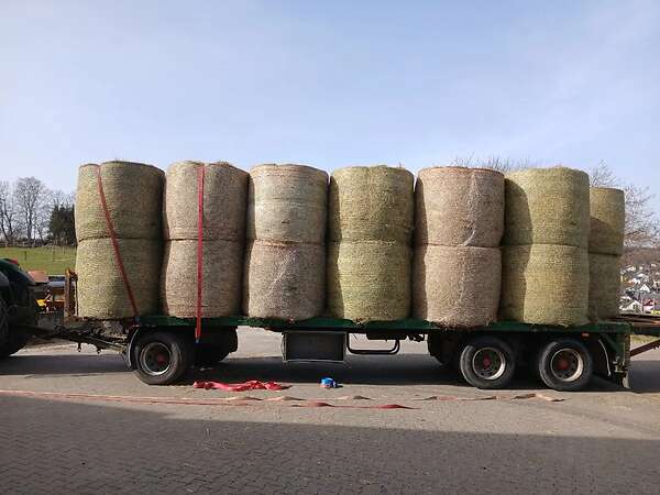 Ballwagen tieflader 24t sehr stabiel gebaut - Bild 10