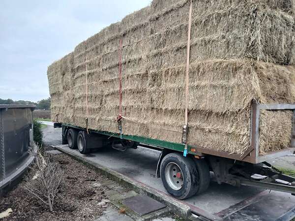 Ballwagen tieflader 24t sehr stabiel gebaut - Bild 11