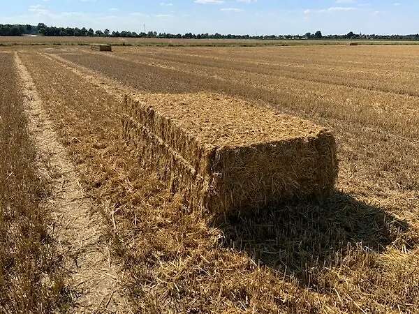 Quaderballen Stroh - Bild 1