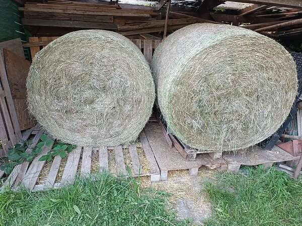 Heu 1. Schnitt 2026 Rundballen, Top Qualität - Bild 1