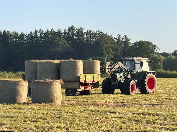 Heu Bio Rundballen 1. Schnitt 2026 - Bild 4