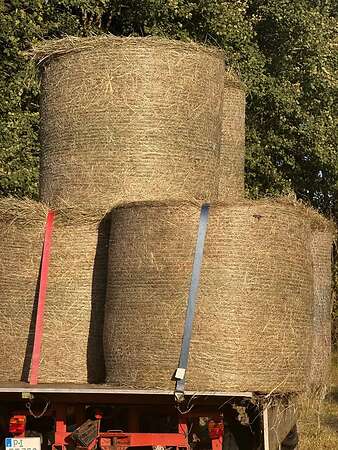Heu Bio Rundballen 1. Schnitt 2026 - Bild 5
