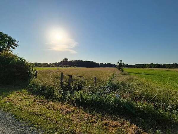 Verkaufe 0,51 h Weideflächen - Bild 2
