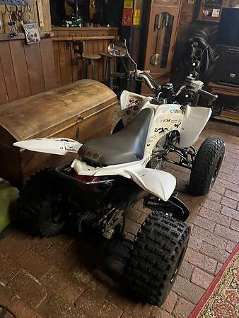 Yamaha Raptor 250 - Bild 2