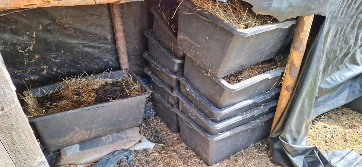 Lama Mist zu verschenken als Dünger für Grünland, Garten, Kompost - Bild 2