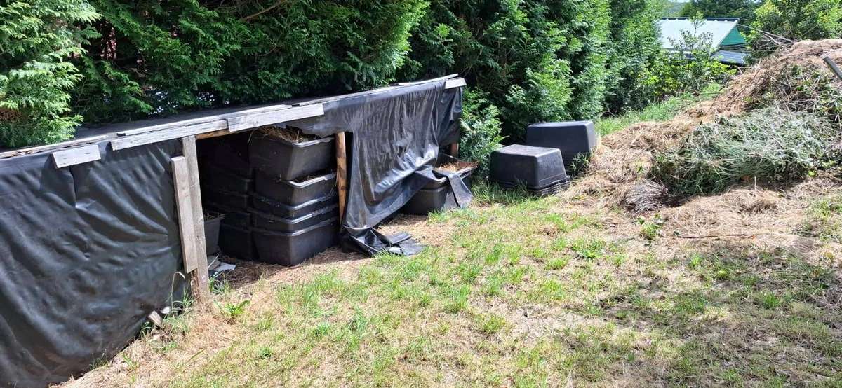 Lama Mist zu verschenken als Dünger für Grünland, Garten, Kompost - Bild 3