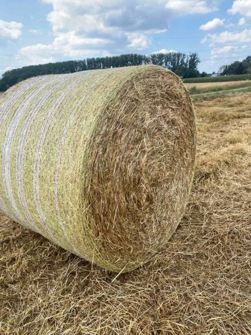 Heu Rundballen 1,40 Durchmesser - Bild 1