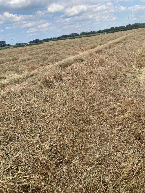 Heu Rundballen 1,40 Durchmesser - Bild 2