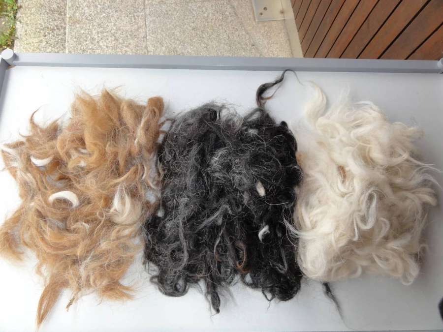 Rohwolle von 5 Lamas Handschur 2026 schwarz-grau, mittelbraun, dunkelbraun creme - Bild 1