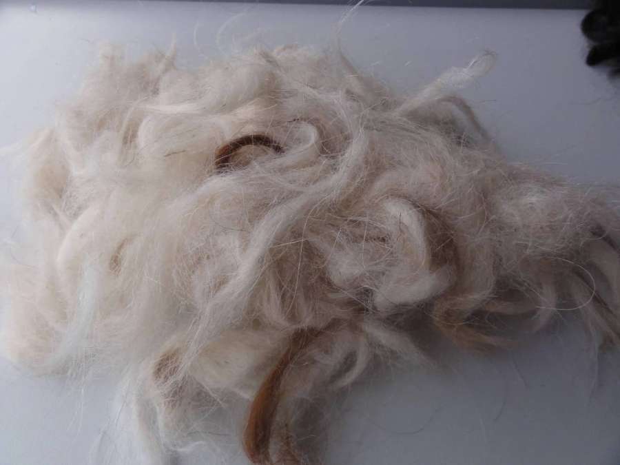 Rohwolle von 5 Lamas Handschur 2026 schwarz-grau, mittelbraun, dunkelbraun creme - Bild 2