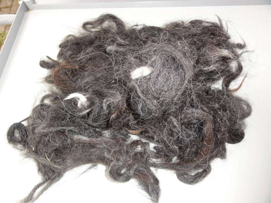 Rohwolle von 5 Lamas Handschur 2026 schwarz-grau, mittelbraun, dunkelbraun creme - Bild 3