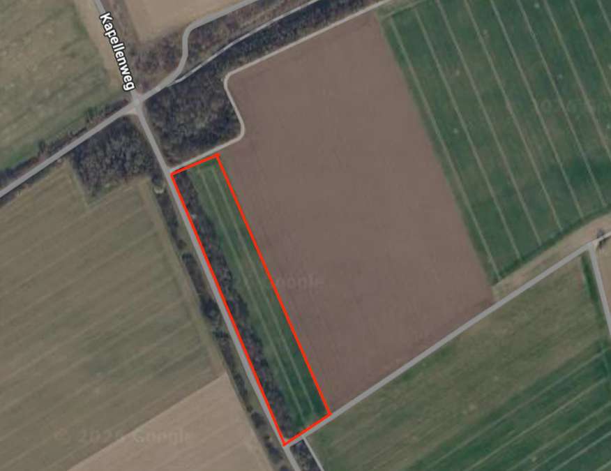 Verkauf Landwirtschaftliche Ackerfläche in Kaster (Rhein-Erft-Kreis) - Bild 1
