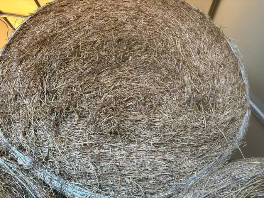 Luzernenballen - Bild 2