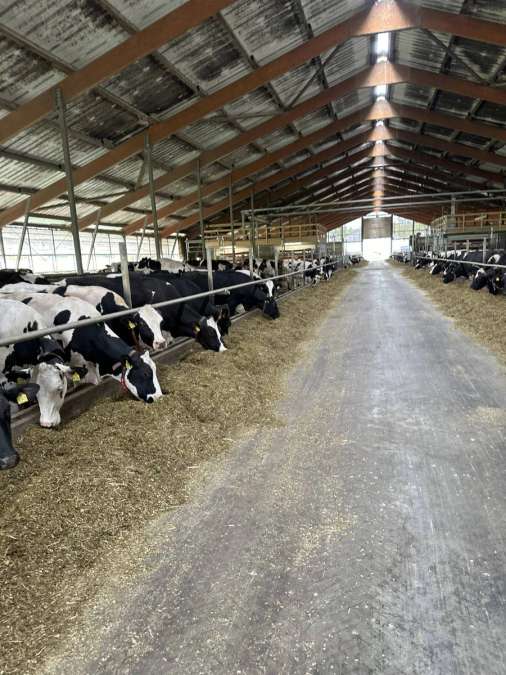 Herdenmanager / Betriebsleiter Milchvieh für 550 Kühe (m/w/d), Eystrup - Bild 1