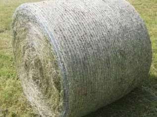 Heu 2. Schnitt in Rundballen - Bild 1