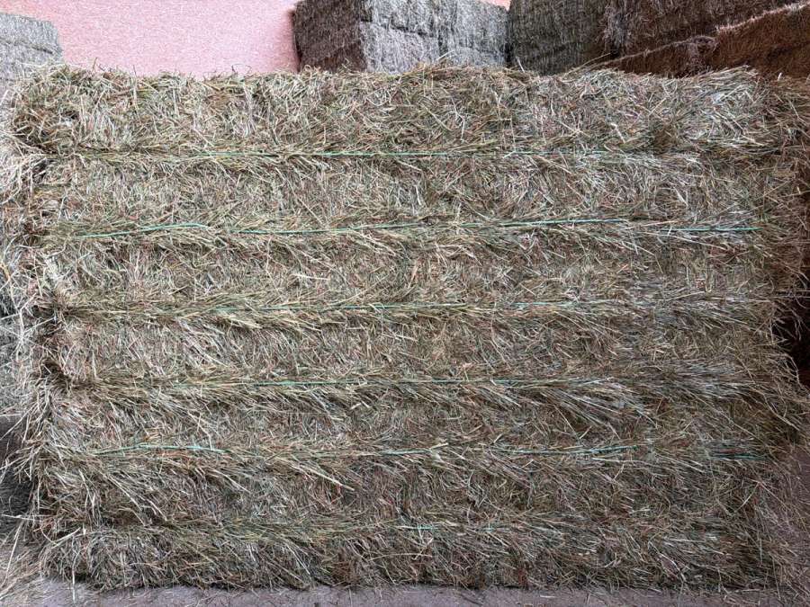 Premium Heu aus der Trocknung - Bild 1