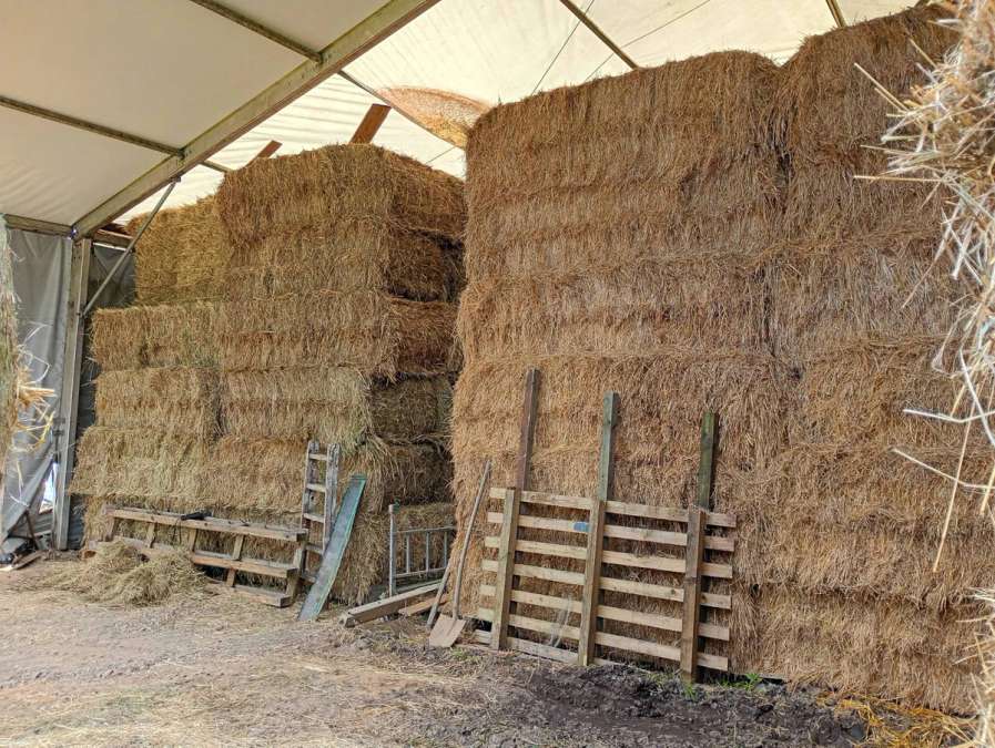 Biete Heu in HD, Rund-und Quaderballen von Bergwiesen, frei von Giftpflanzen - Bild 5