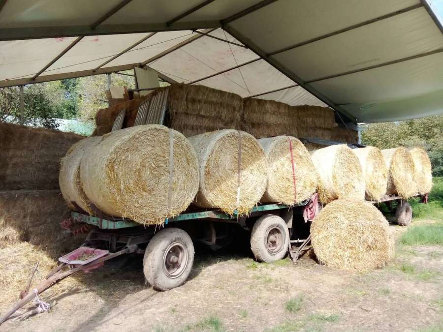 Biete Heu in HD, Rund-und Quaderballen von Bergwiesen, frei von Giftpflanzen - Bild 6