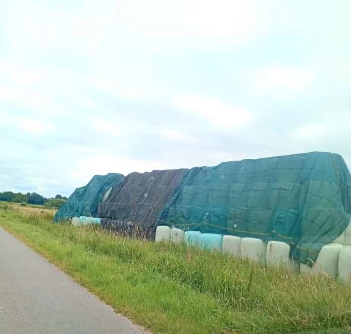 1a Heulage in Rundballen erster Schnitt 2026 - Bild 1